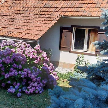 Apartman Nebojsa Rudnik Exteriör bild
