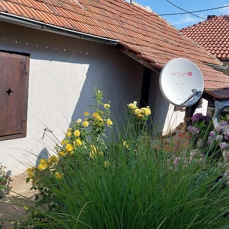 Apartman Nebojsa Rudnik Exteriör bild