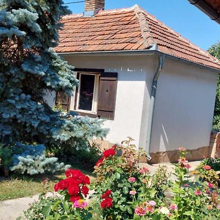 Apartman Nebojsa Rudnik Exteriör bild