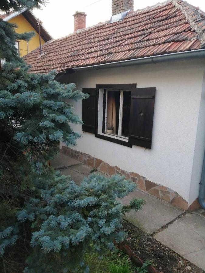 Apartman Nebojsa Rudnik Exteriör bild