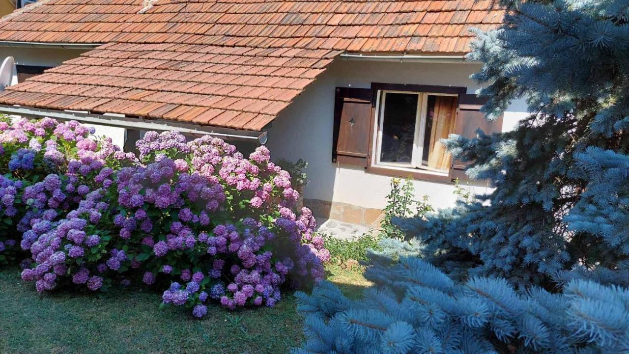 Apartman Nebojsa Rudnik Exteriör bild
