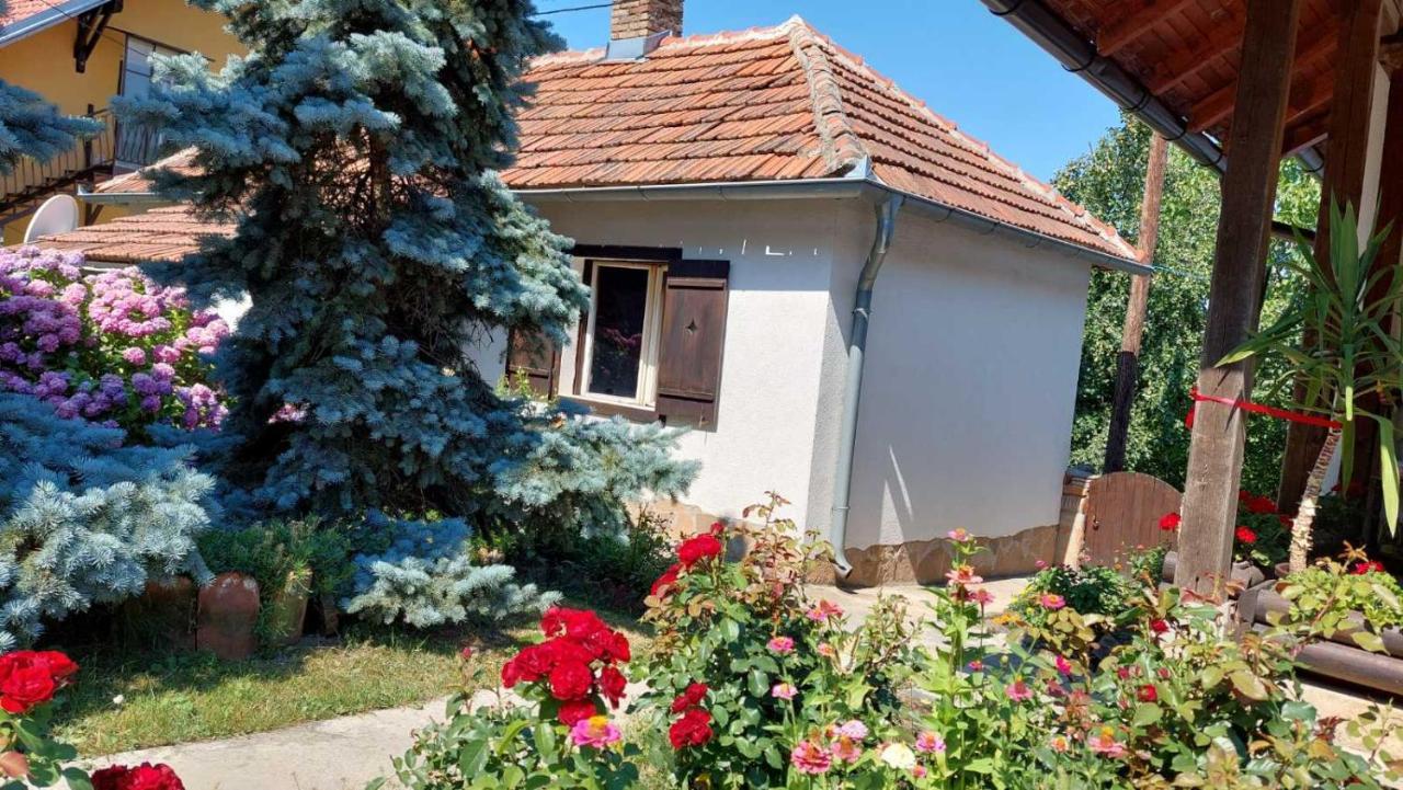 Apartman Nebojsa Rudnik Exteriör bild